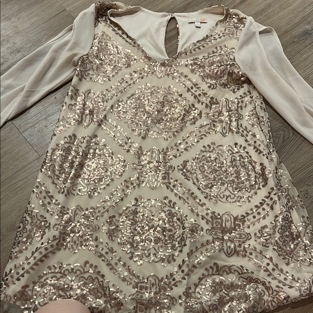 Elegant Sequin Dress with Sheer Sleeves